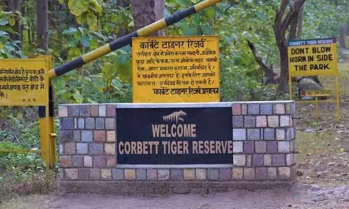 Illegal construction in Corbett: SC raps former U’khand Minister ex-forest officer