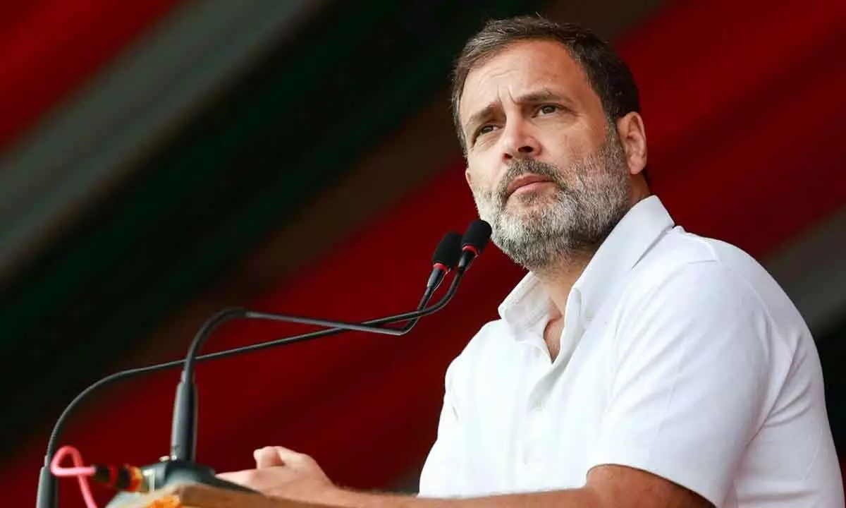 CEC meeting discussed the names of candidates for Lok Sabha polls,Rahul Gandhi will contest from Wayanad