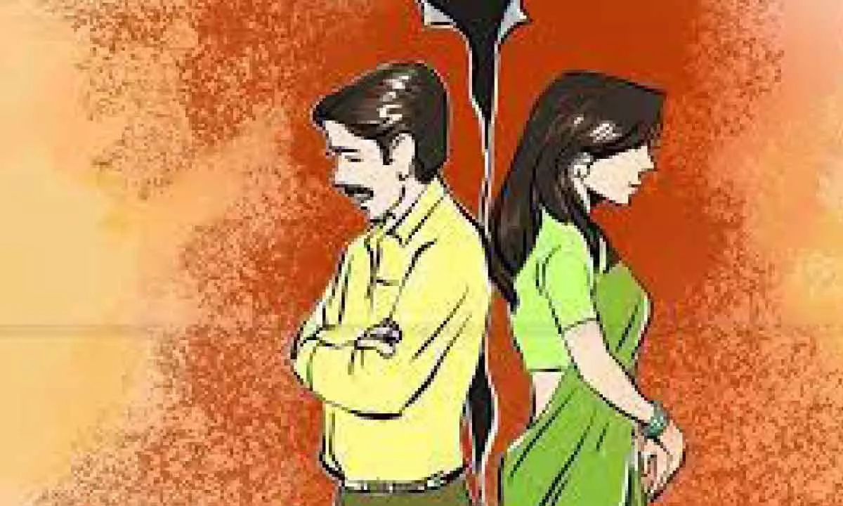 New Delhi: Mere acquittal in cruelty case no ground for divorce says High Court