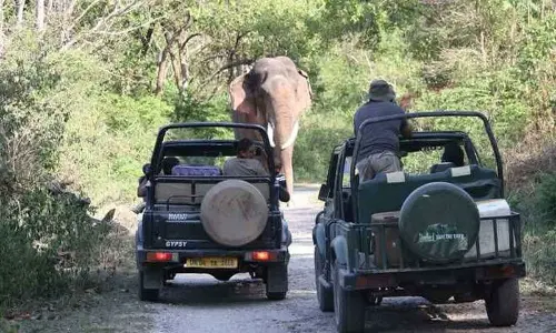 New Delhi: SC panel to assess ‘spoiled’ Corbett Tiger Reserve