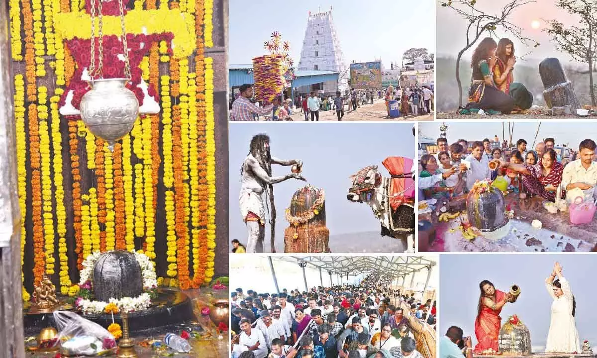 Piety, fervour mark Maha Shivaratri across State