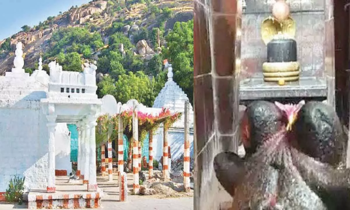 Maha Shivaratri: Temples resonate with ‘Om Namah Shivaya’