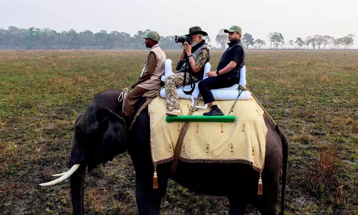 Prime Minister Narendra Modi takes elephant ride during his visit to the Assams Kaziranga  National Park on Saturday morning