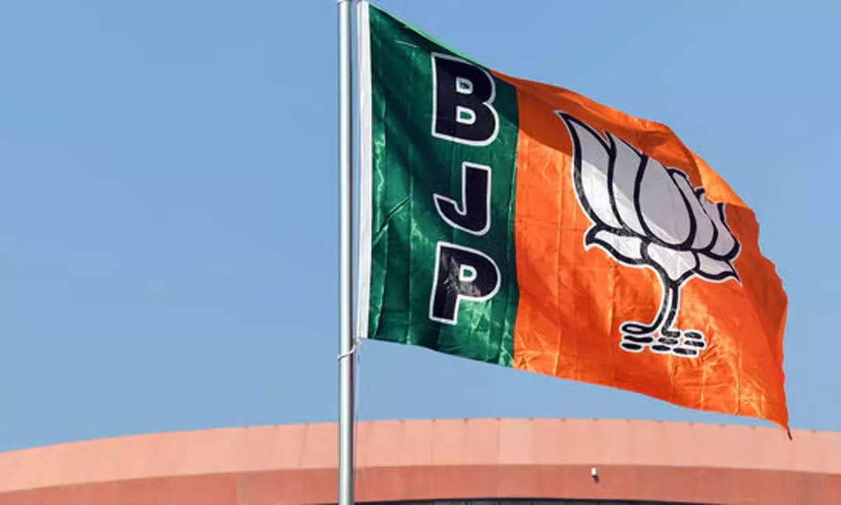 BJP names 111 more for LS polls