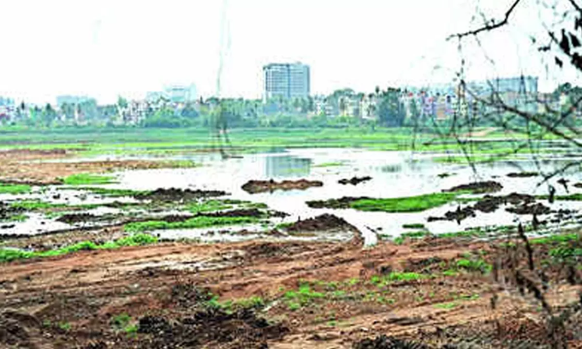 Delay in revival work of two major lakes causes dry borewells