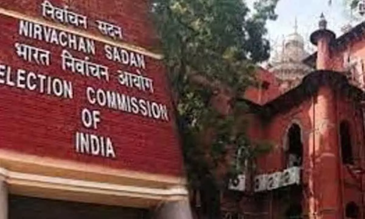 Government plans to appoint two EC commissioners by March 15