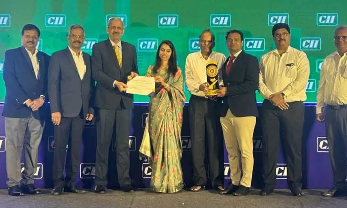 SEIL wins CII Gold Award