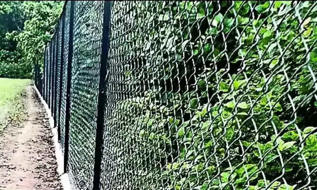 Pilibhit Tiger Reserve to replace solar fencing with chain link