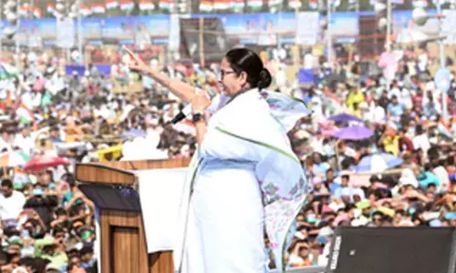 You might lose everything if you apply on CAA portal: CM Banerjee