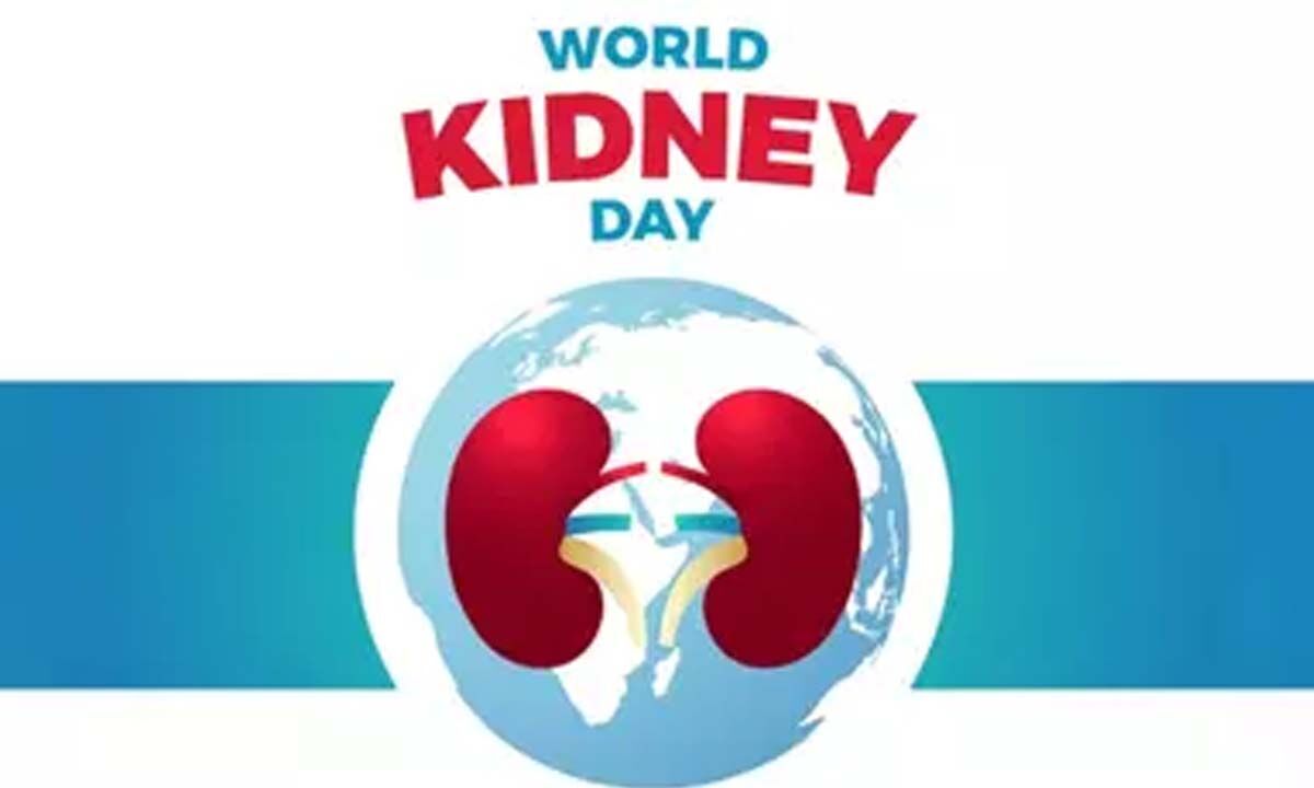 World Kidney Day 2024: Date, history, significance and everything You ...