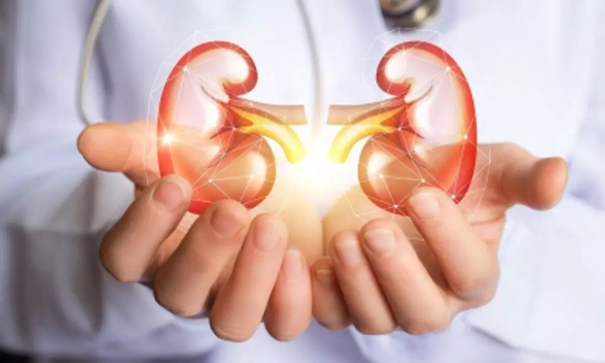 World Kidney Day: Doctors warn against overuse of OTC medicine