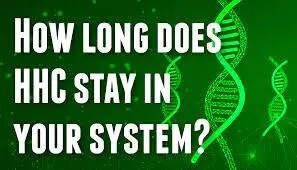 How Long Does HHC Stay in Your System? A Comprehensive Guide