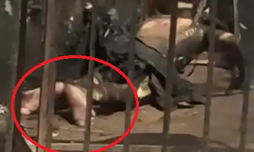 1 killed, 4 injured in transformer explosion in Patna court