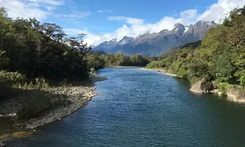 International Day of Action for Rivers 2024: Date, Theme, History, Significance, and All You Need to Know