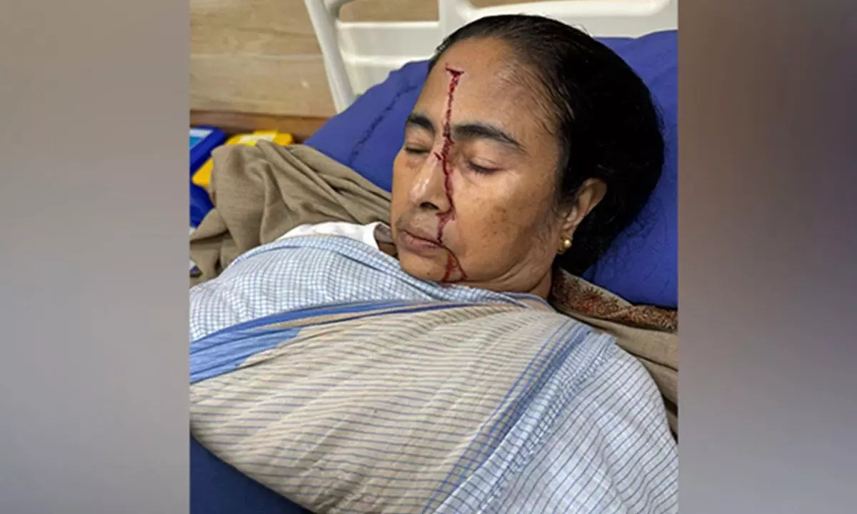 CM’s injury a result of syncope, explains prominent doctor and Trinamool minister Panja
