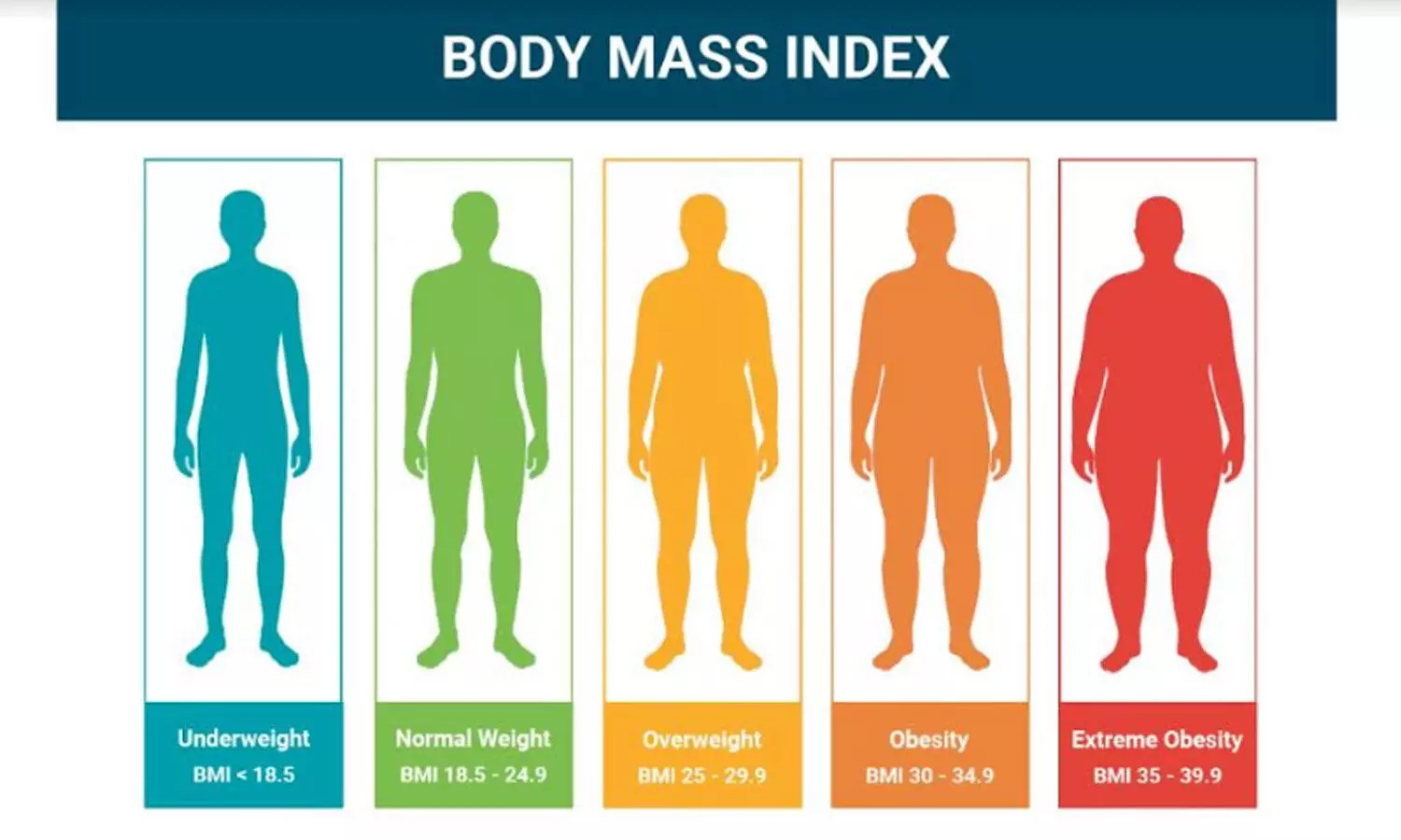 Body Mass Index (BMI) Calculator: All You Need to Know