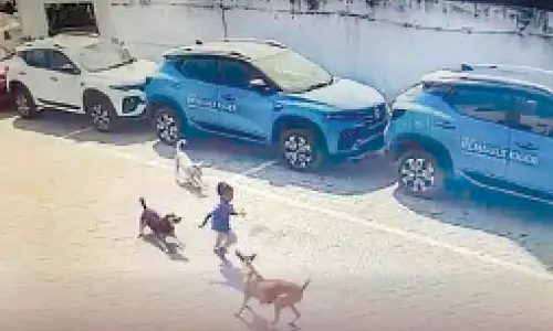 New Delhi: High Court asks police to probe nature of pets in area