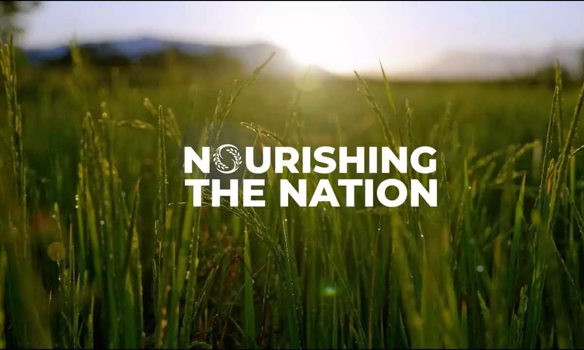 Nourishing the nation must top policy priorities