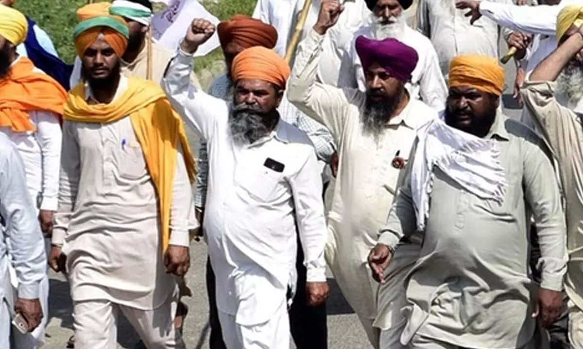 Farmers may play decisive role in June 1 Lok Sabha polls in Punjab
