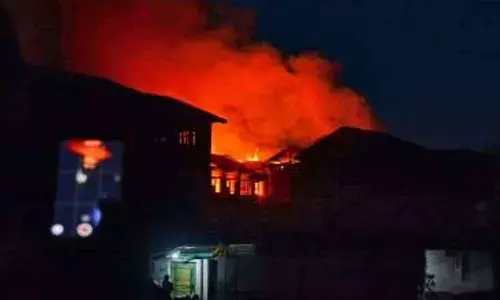 Indian-origin couple, daughter killed in Ontario fire