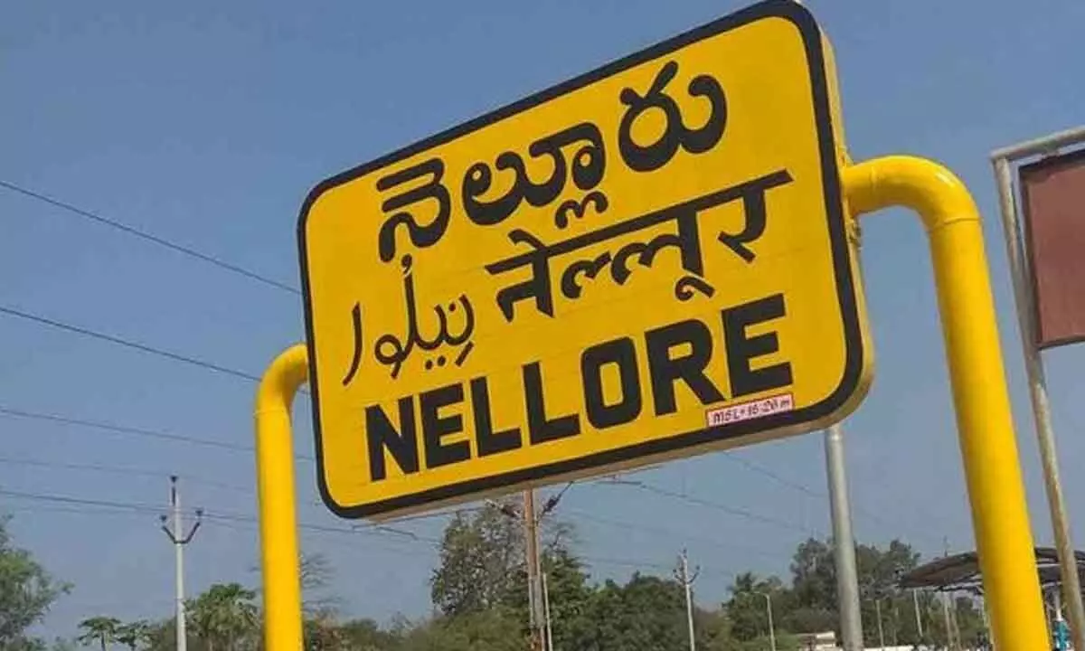 Camp politics intensify in Nellore district