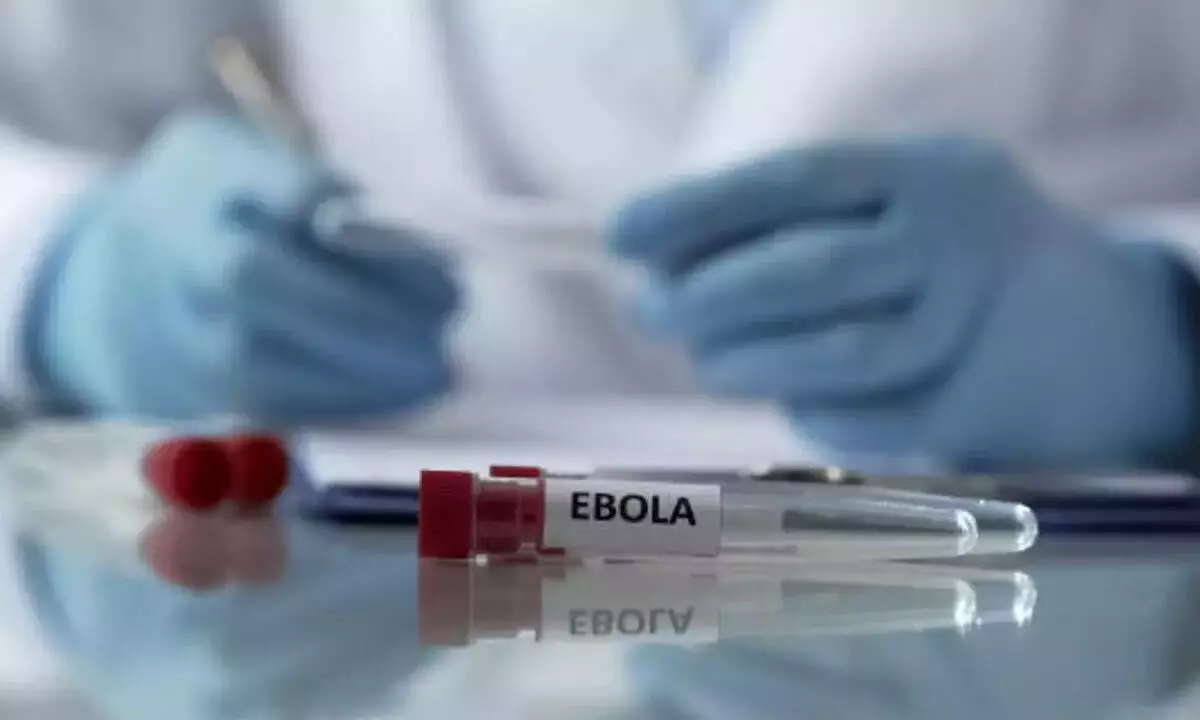 Scientists find potential new drug target to prevent Ebola