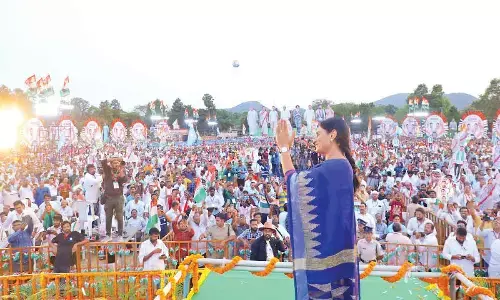 With renewed josh, Congress targets 25 Assembly, 5 LS seats