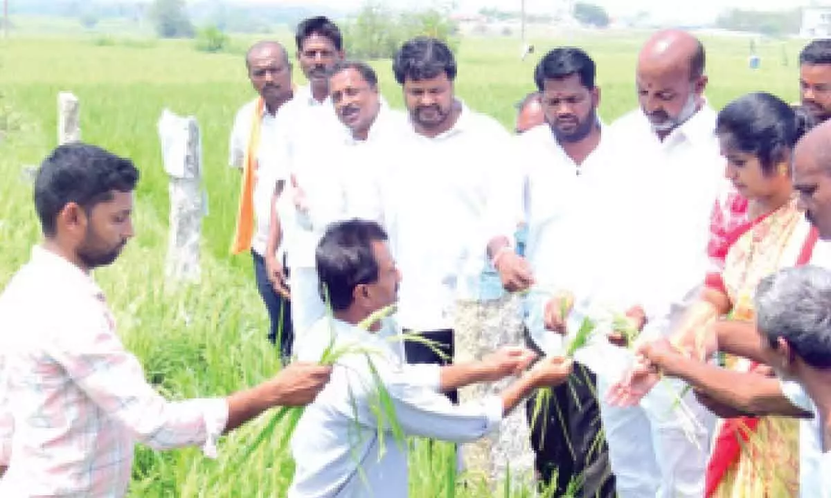 Bandi Sanjay inspects damaged crops