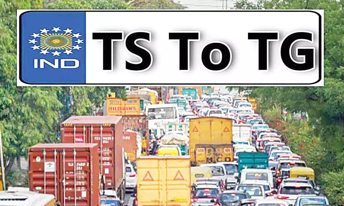Applications delay at transport department following TG code