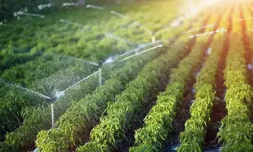 Green practices galore to conserve water