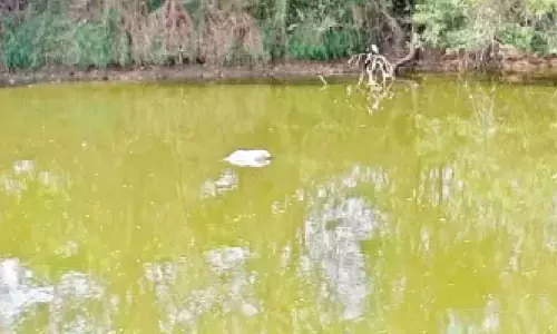 Woman and granddaughter murdered, bodies thrown  in river