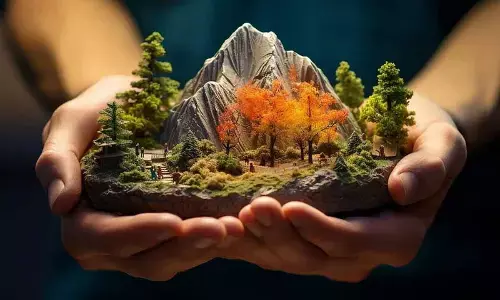 Protect and raise forests, or face the ‘HEAT’