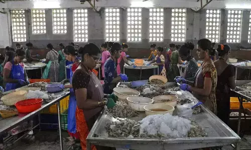 India has robust regulatory, safety framework for seafood units: Commerce min