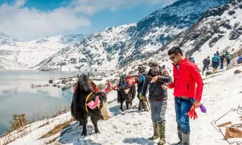 Peaceful retreat in nature