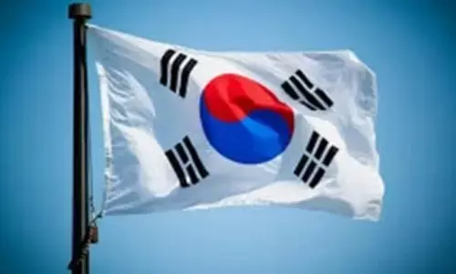 South Korea-built nuclear reactor connected to UAE power grid