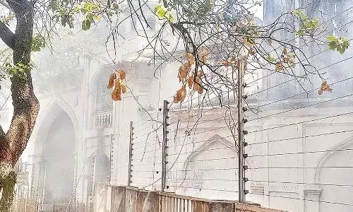 Save Archeological Museum; GHMC Kuch Karo, urge walkers