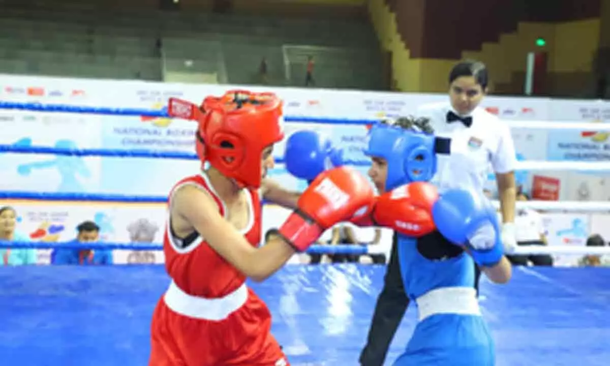Sub Jr Nationals: Haryana, Delhi boxers shine in semifinals