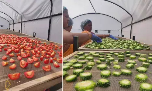 How Solar Dryers Transformed Lives in Vempalli by Empowering Farmers Community