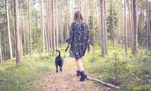 How nature can alter our sense of time