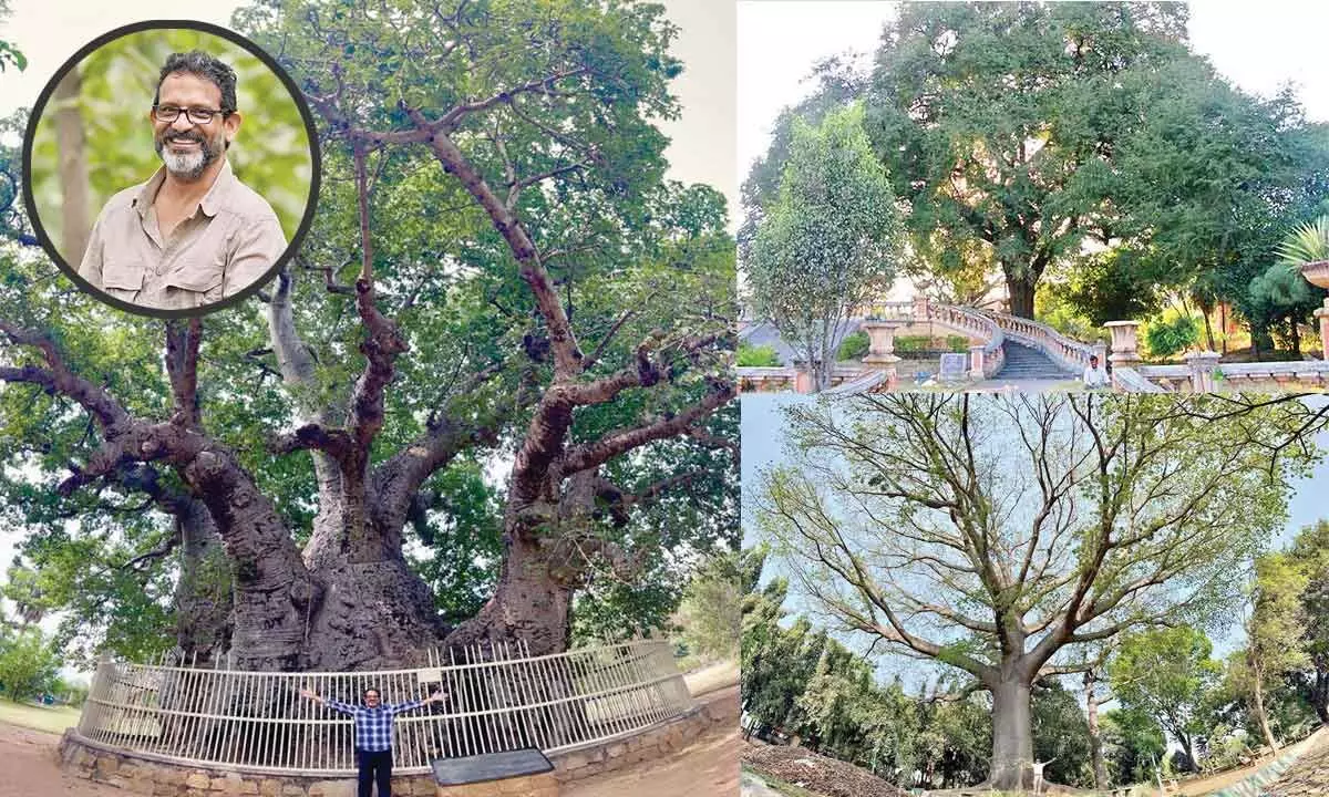Hyderabad: City green body founder embarks on journey to record ancient trees