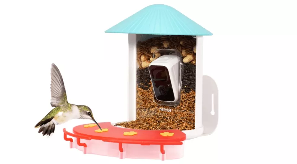 Review: Birdfy Hummingbird Feeder