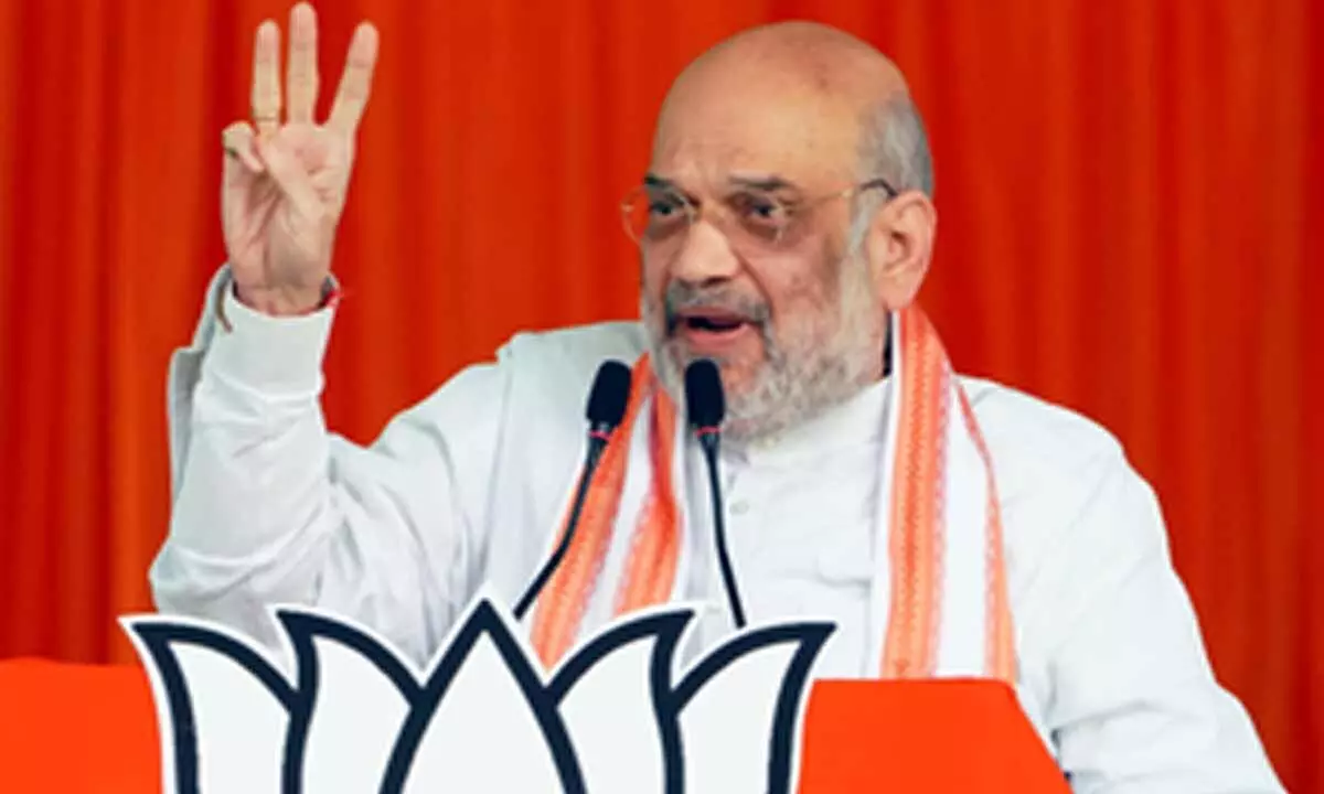 Amit Shah to undertake election campaign in NE states next week
