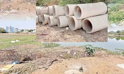 Hyderabad: Locals root for breathing life intoBanda Cheruvu at E Anandbagh