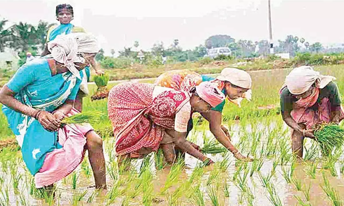 92.68 per cent farmers get Rythu Bandhu benefit