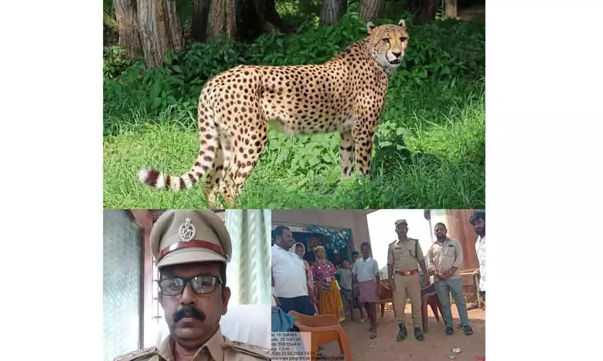 We are alert on the movement of leopards and we are creating awareness in villages with beat officers.