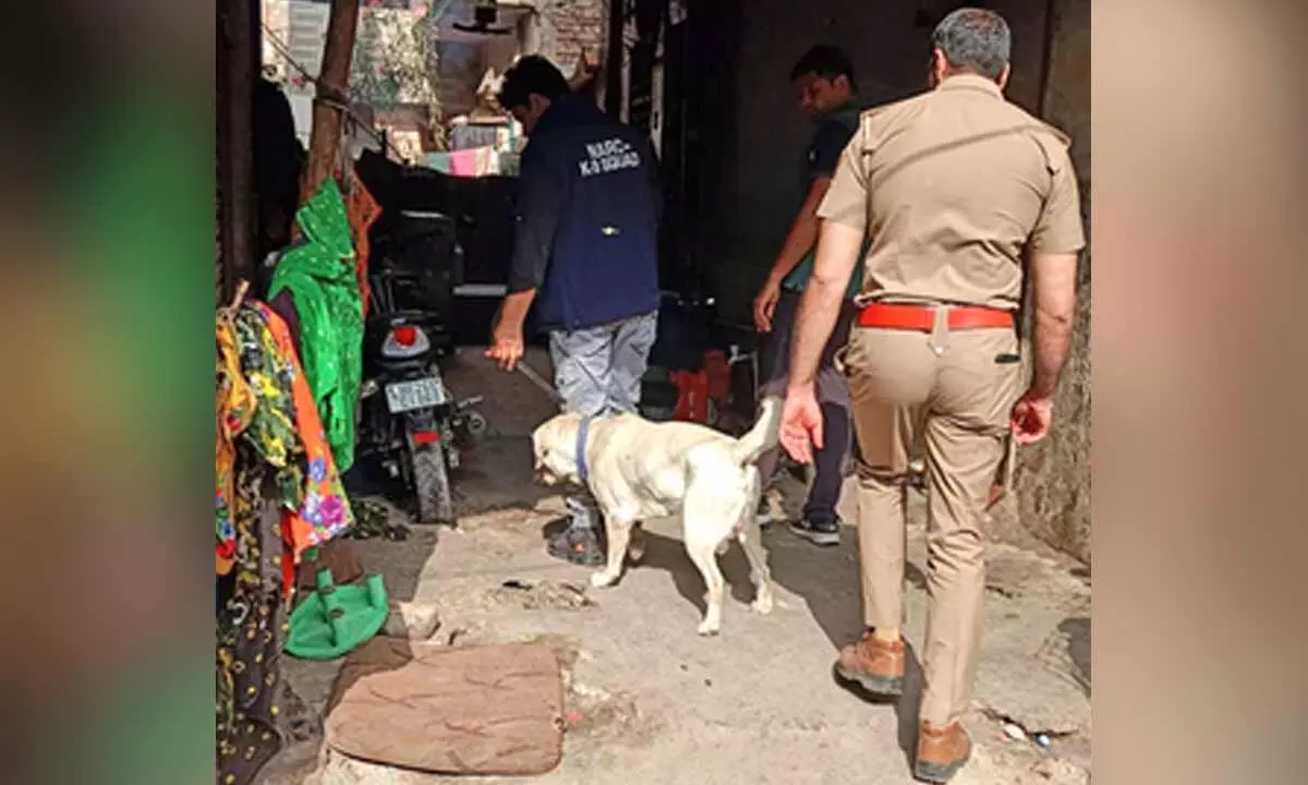 Gurugram Police arrest 139 criminals during special campaign