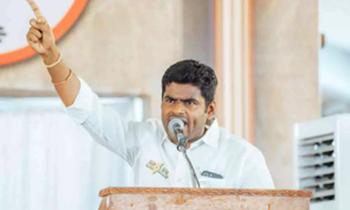 TN BJP takes up Katchatheevu island issue to corner DMK, Congress