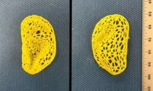 Scientists create replica of human ear that looks & feels natural