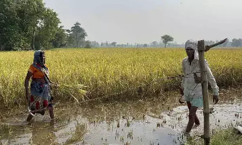 No money, No survey says government Surveyors. Farmers suffered sever land litigations.