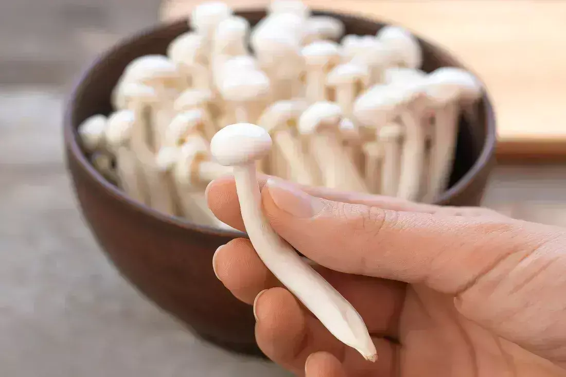 Exploring the Health Benefits of Enoki Mushrooms